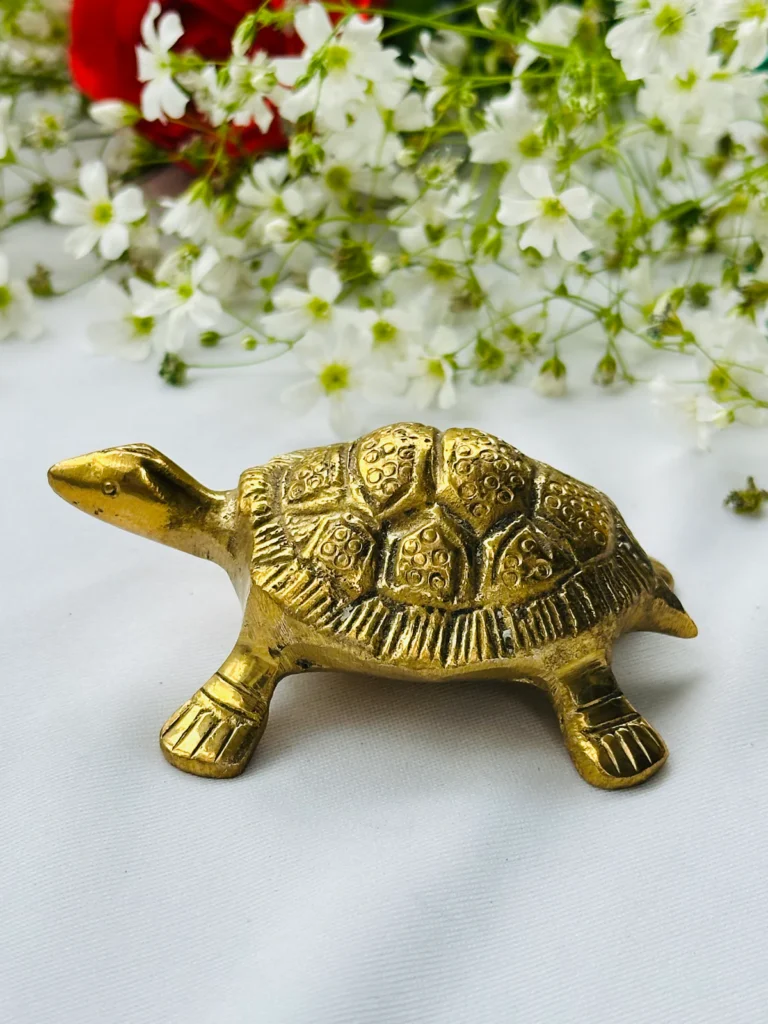 Sacred Tortoise